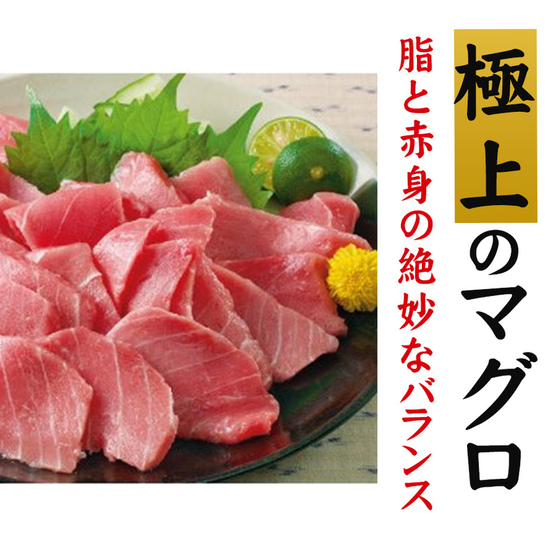 厳選!脂たっぷり本マグロ切り落とし 500g（冷凍）送料無料