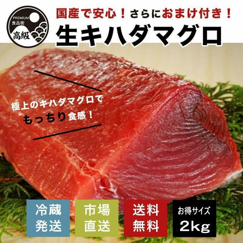 極上! 国産生キハダマグロ 2kg+おまけ（生）送料無料　お得　大容量