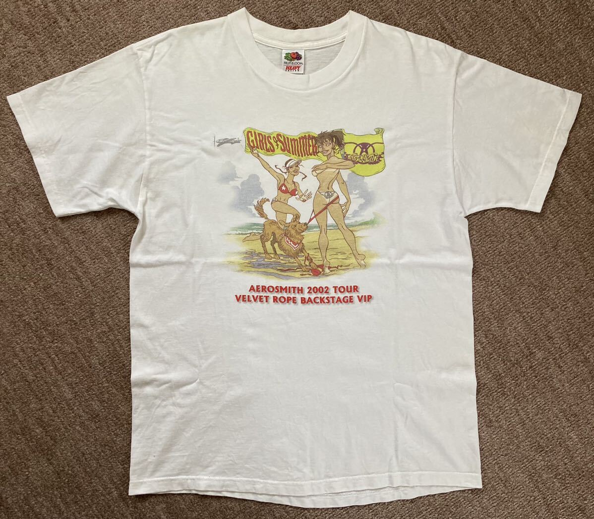非売品!バックステージVIP限定Tシャツ エアロスミス2002ツアー フロントのみプリント 白 Lサイズ表記 ビッグシルエット 真夏映え 綿100%