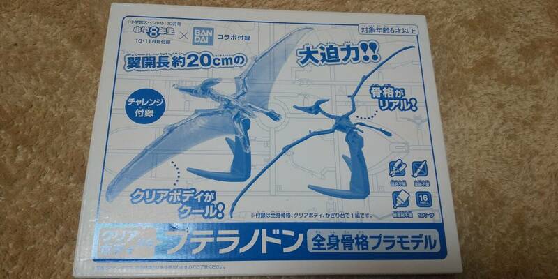 小学 8年生 付録 クリアボディ付きプテラノドン 全身骨格プラモデル BANDAIコラボ付録 小学館スペシャル１０・１１月号 未開封品