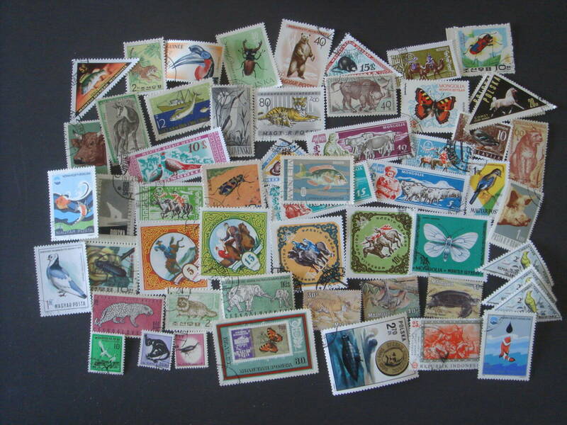 外国切手　動物　50枚　消印