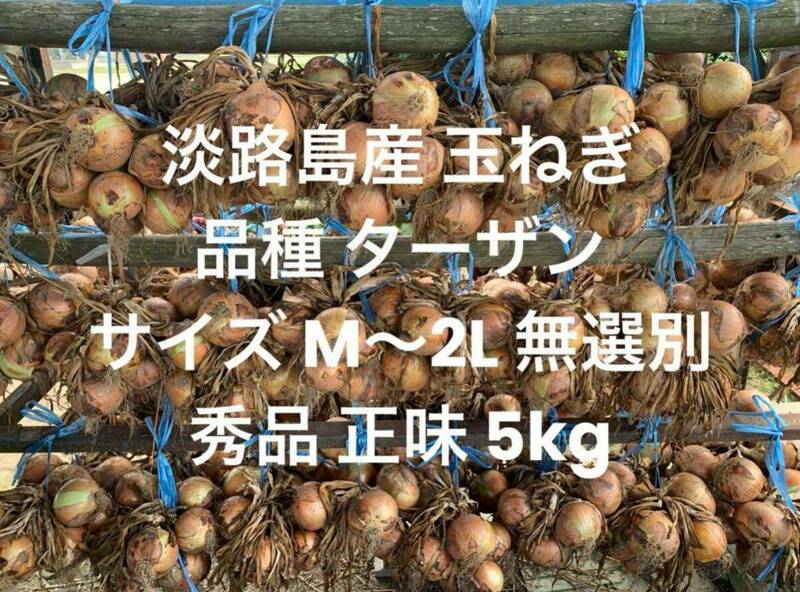 兵庫県 淡路島産 玉ねぎ M～2L 秀品正味5kg 品種 ターザン ツル付不可 淡路 淡路島