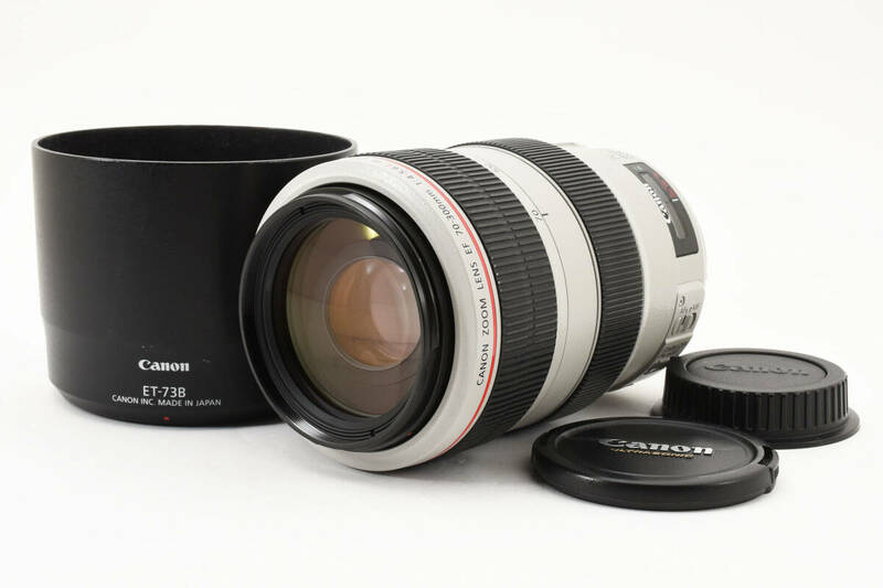 ★実用美品★キャノン CANON EF 70-300mm F4-5.6 L IS USM #2406267