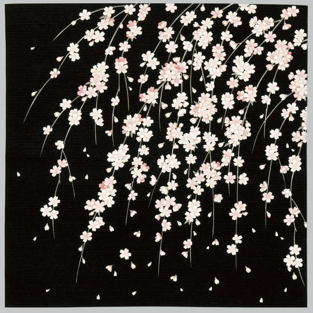 綿小ふろしき「しだれ桜」約50cm（お弁当、ランチョンマットに）　y34-054423