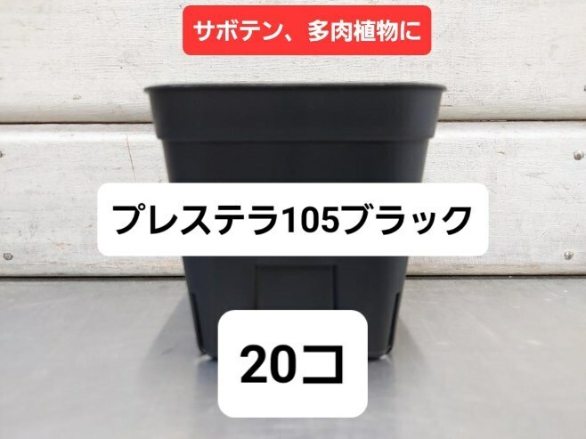 送料無料★ 水はけバツグン！硬質ポット　プレステラ　ブラック　１０５　２０コセット■スリット鉢