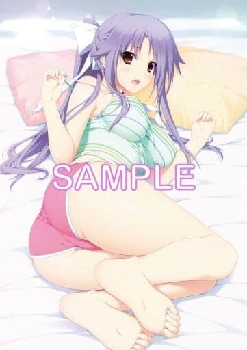 未開封 成川姫 B2タペストリー LOVELY×CATION2 カノジョとの幸せな日常 唯々月たすく hibiki works