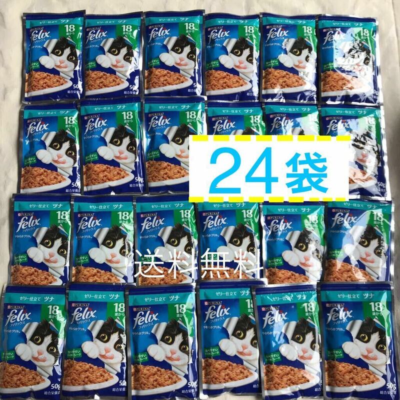 25.12／送料無料　18歳頃から ゼリー仕立て フィリックス ウェットフード パウチ 50g×24袋 ツナ 高齢猫用　シニア猫用