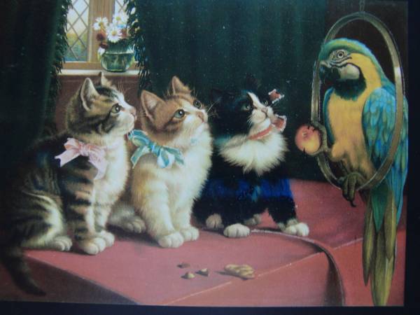 送料無料、希少画集画、高級新品額・額装付、猫 ネコ ねこ cat、絵画 油彩画 動物画、17、maca