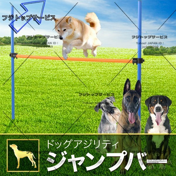 犬ドッグアジリテ 知育玩具 障害物 自立・組立式 どこでも設置 トレーニング しつけ ドッグラン 運動用障害物 犬用アジリティ (セットB)