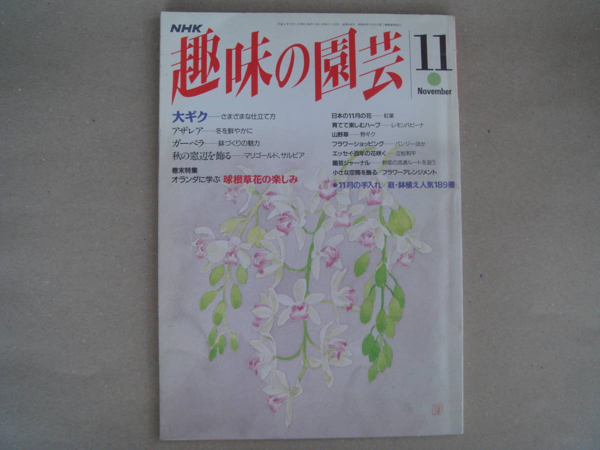 NHK　 趣味の園芸 平成 ５年 １１月号 　大ギク　 タカ102-2