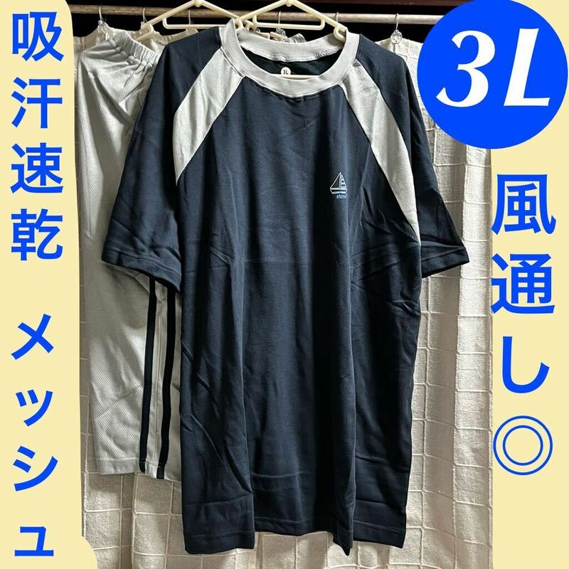 新品　3L 吸汗速乾　メッシュタイプ　薄手　パジャマ　ルームウェア　Tタイプ　半袖Tシャツ ショートパンツ