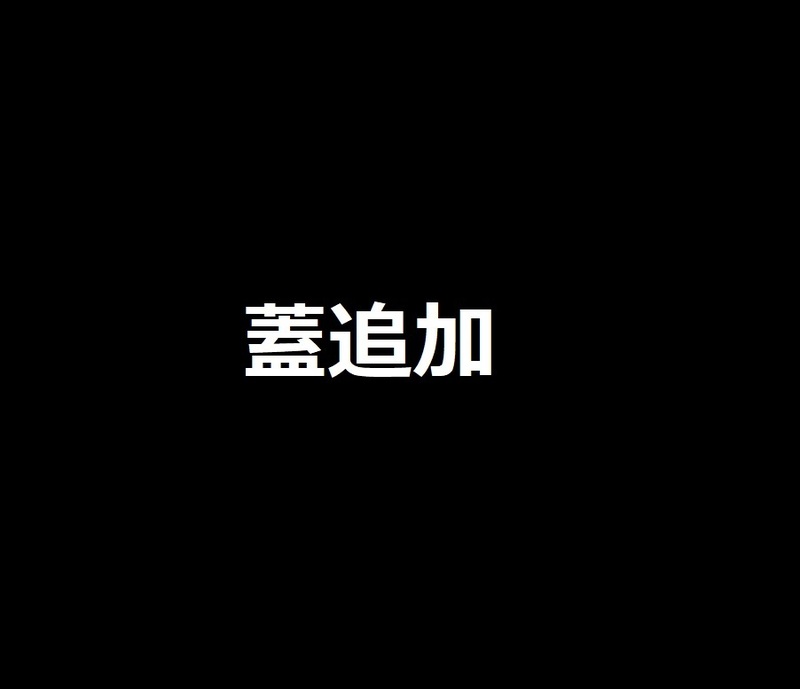 蓋追加　オプション