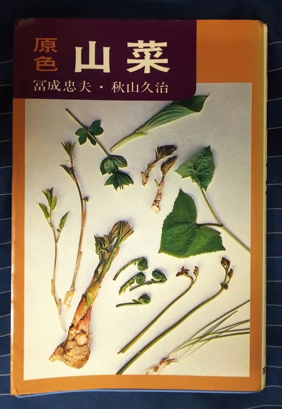 ☆古本◇原色山菜◇冨成忠夫 秋山久治□家の光協会◯昭和49年第１刷◎