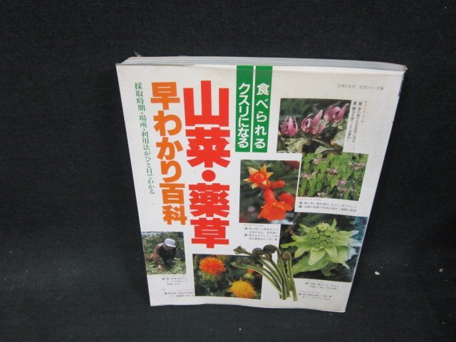 食べられるクスリになる山菜・薬草早わかり百科　シミ折れ目有/VFZL