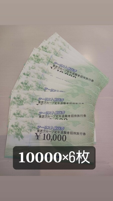 近畿日本ツーリスト　旅行券　東芝グループ定年退職者招待旅行券　10000円×6枚　60000円分　ツーリスト旅行券　未使用　トラベル