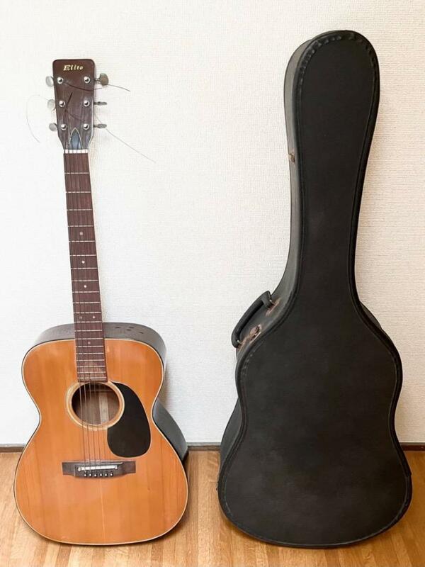 ビンテージ 60s アコースティックギター TAKAMINE ELITE F100