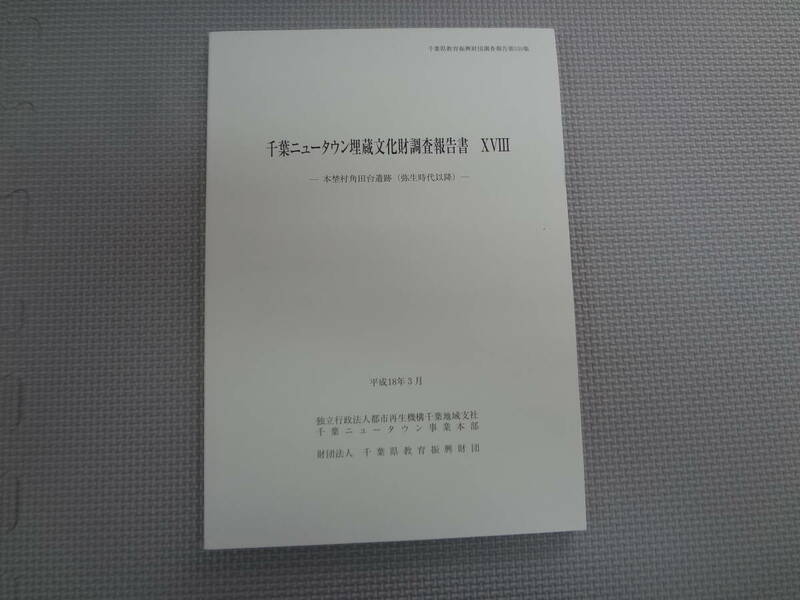 も2-f07【匿名配送・送料込】千葉ニュータウン埋蔵文化財調査報告書　ⅹⅧ　千葉県教育振興財団調査報告書　530　平成18年3月