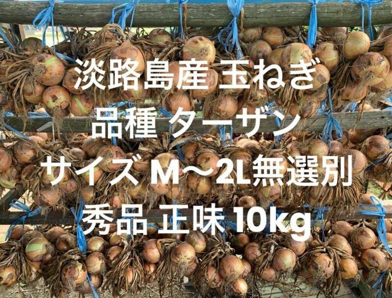 兵庫県 淡路島産 玉ねぎ M～2L 秀品正味10kg 品種 ターザン ツル付不可 淡路 淡路島