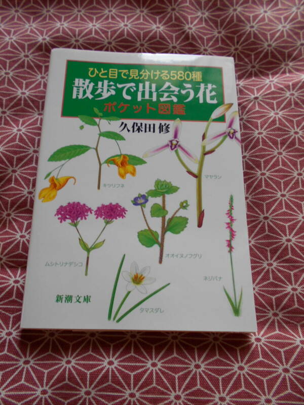 ★ひと目で見分ける580種 散歩で出会う花 ポケット図鑑(新潮文庫)久保田修(著)★色々な草花を知ってください。日本の自然残ってほしいな