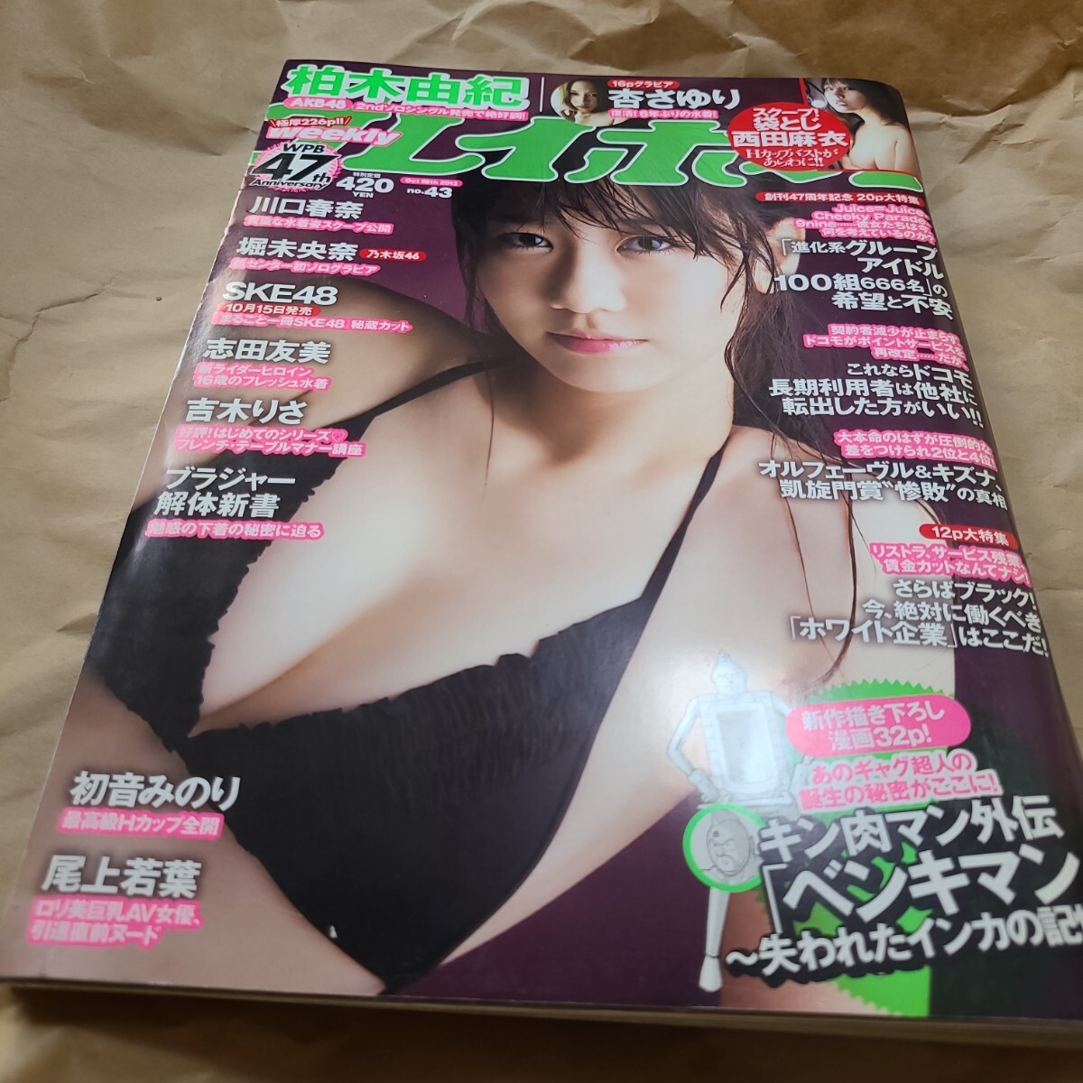 プレイボーイ2013No.46 柏木由紀 掘未央奈 西田麻衣