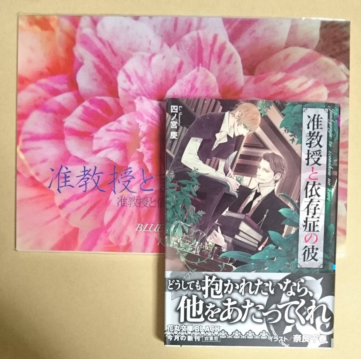 2冊セット【　准教授と依存症の彼　】　四ノ宮慶／奈良千春　同人誌　【　准教授と詩人の甘い夜　】