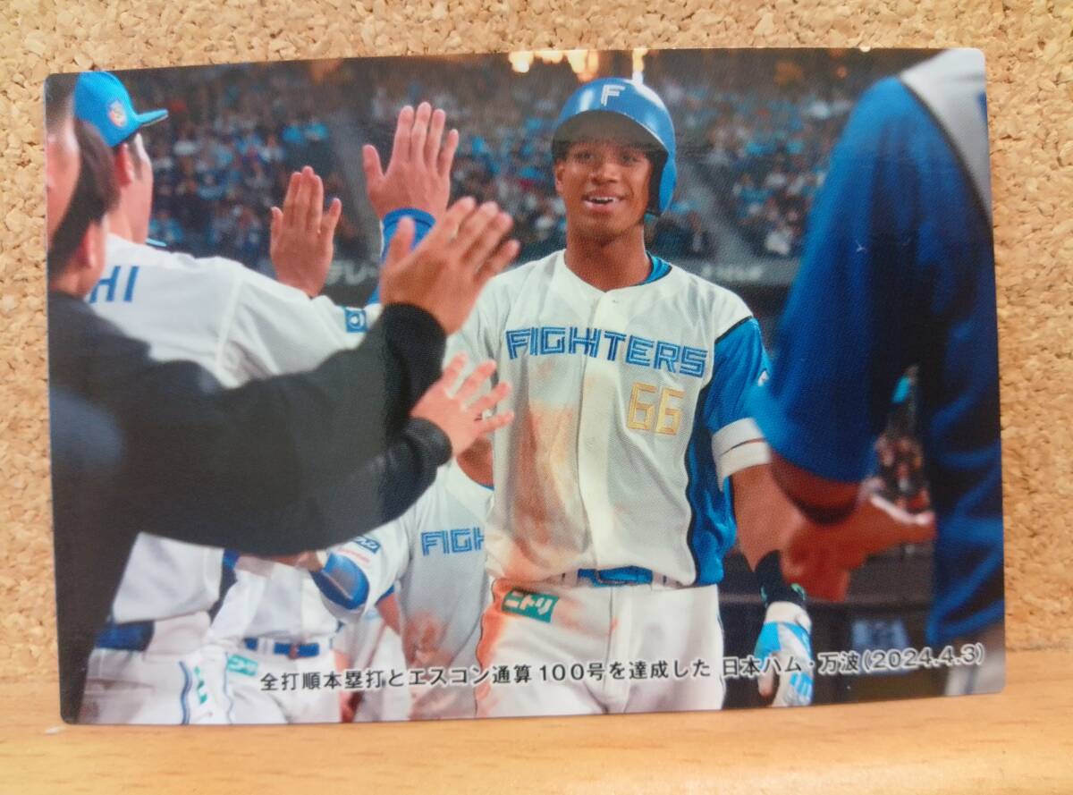 万波中正　外野手（C-１２）／北海道日本ハムファイターズ◆２０２４カルビープロ野球チップス第２弾◆チェックリストカード