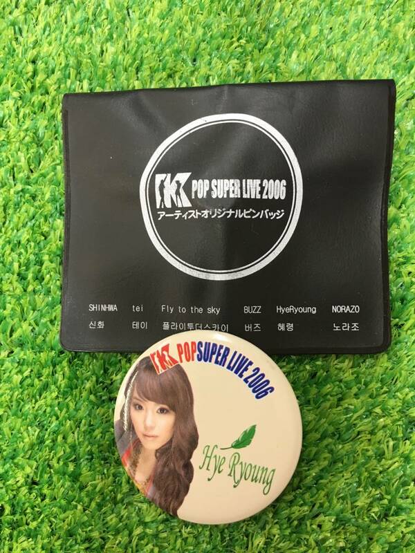 Hye Ryoung 　缶バッジ　K-POP SUPER LIVE2006