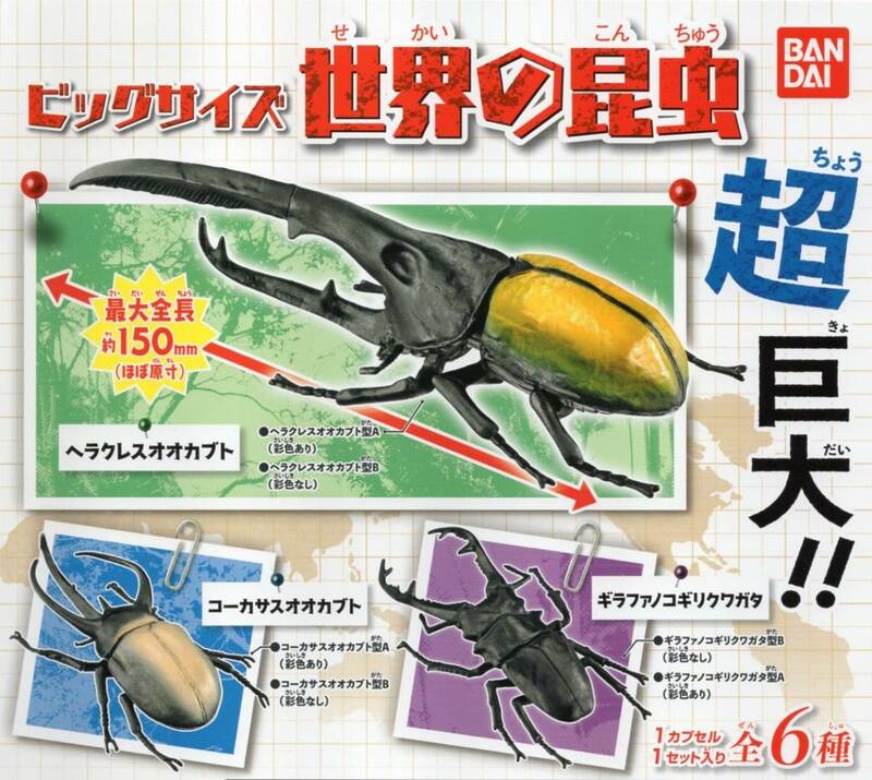 □□□　(即決)　ガシャポン　超巨大!!　ビッグサイズ　世界の昆虫　( 全６種セット )