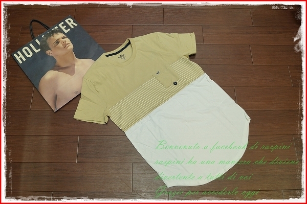 ◆訳あり◇Hollister 切替 ボーダー Tシャツ 半袖/S/ベージュ/メンズ ホリスター アバクロ ラウンドT バイカラー curved hem tee