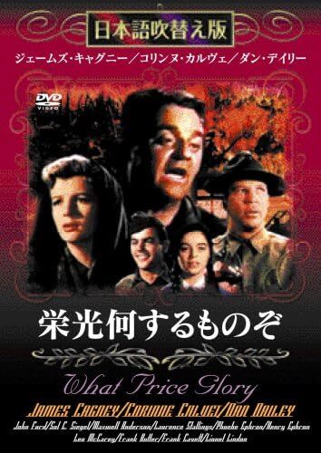 栄光何するものぞ [DVD]