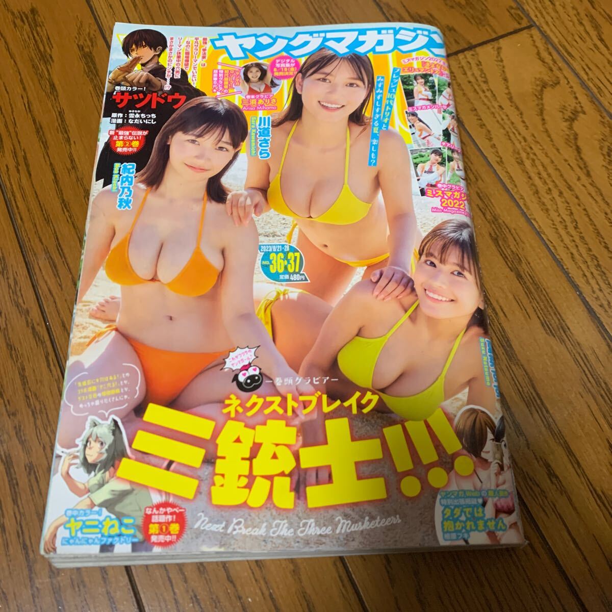 ヤングマガジン ２０２３年８月２８日号 （講談社）