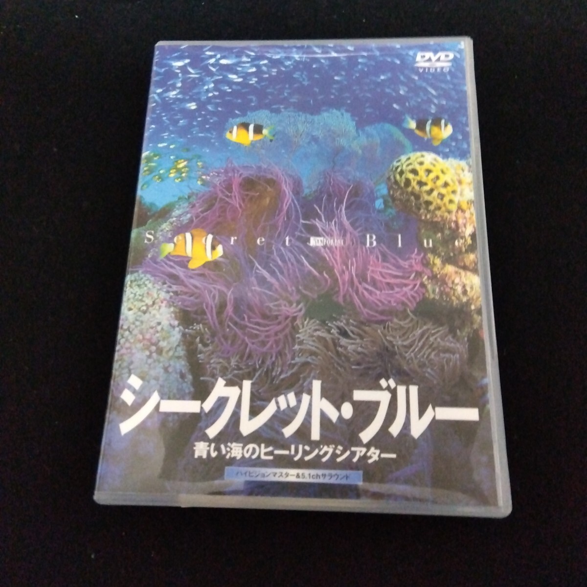 シークレット・ブルー 青い海のヒーリングシアター DVD 海 ヒーリング 癒し 水中 ダイビング 魚 クラゲ 熱帯魚