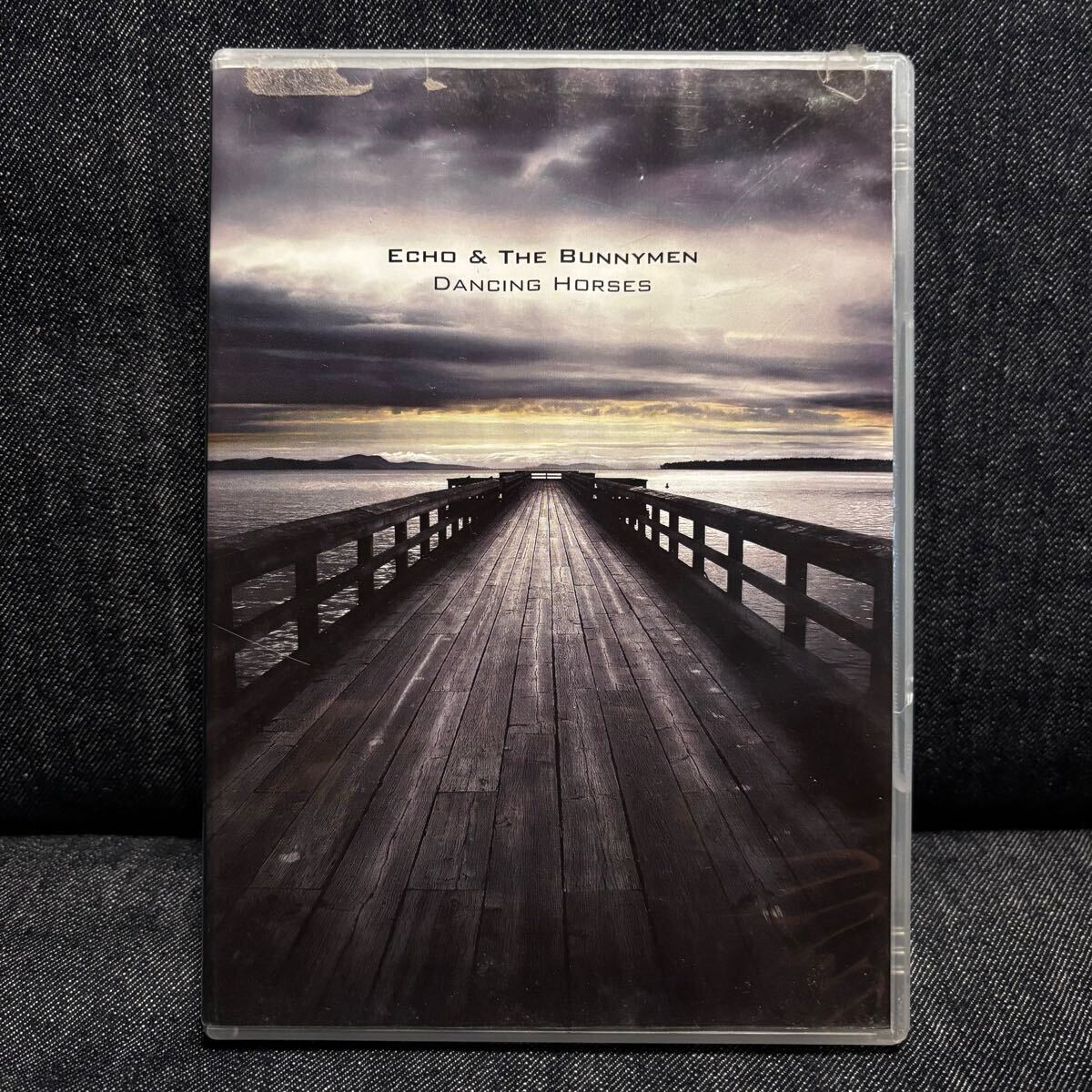 ECHO & THE BUNNYMEN エコー&ザ・バニーメン DANCING HORSES DVD IMPORT イアンマッカロク ニューオーダー パルプ ブラー オアシス