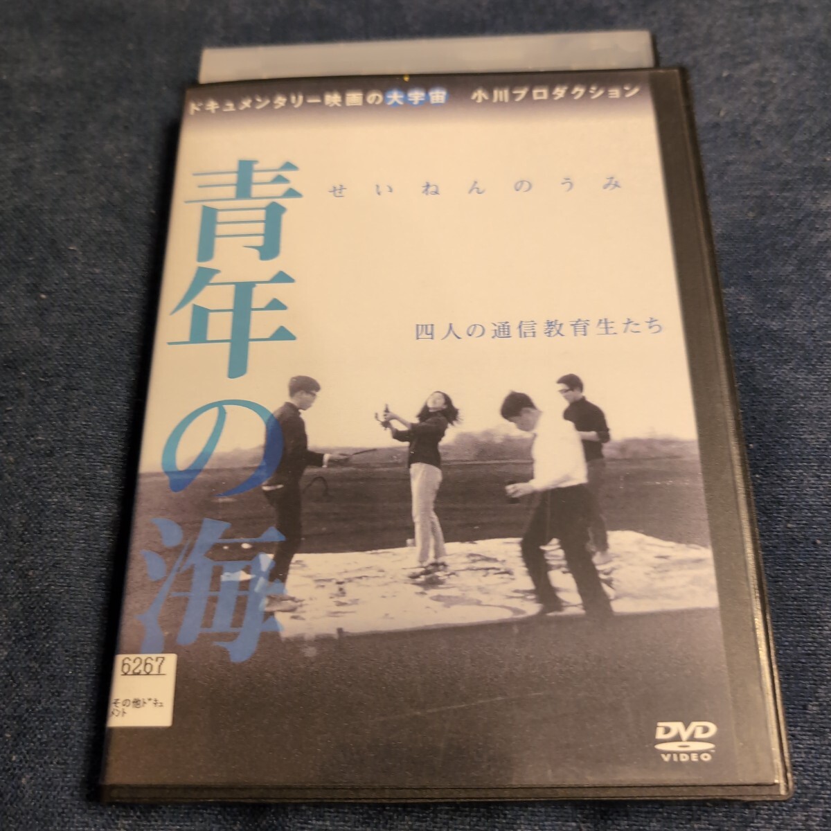DVD　青年の海　四人の通信教育生たち