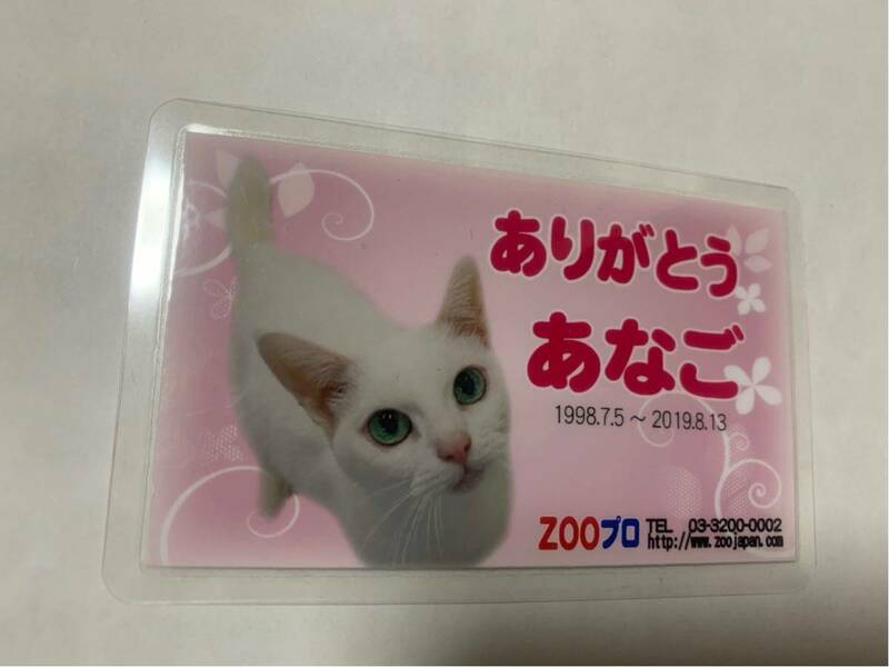 ZOOプロ 限定 あなごちゃん お別れ会 手形カード 猫侍 玉之丞 非売品 猫