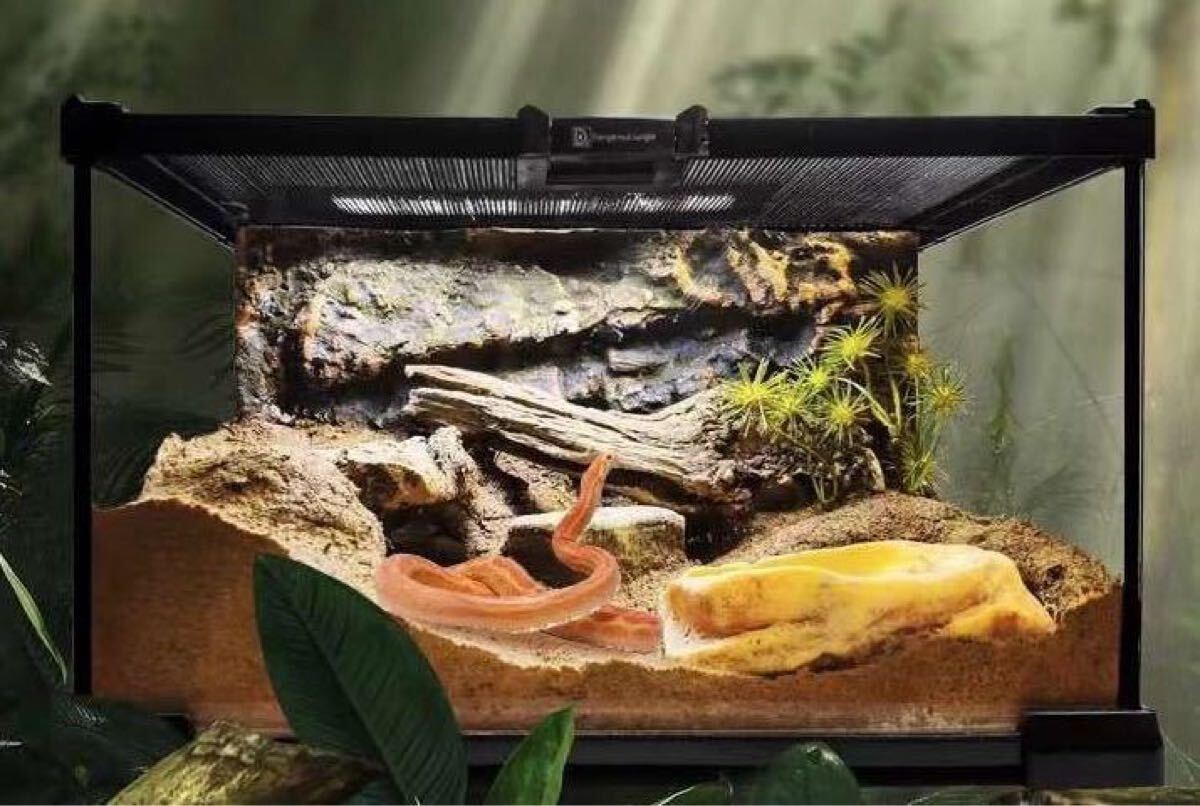 高品質爬虫類両生類飼育ケージ、オリジナル自社製ガラス飼育ケージ30x20x30CM、即時発送送料込みトカゲ　カメ　ヘビ　ハムスター　イモリ　