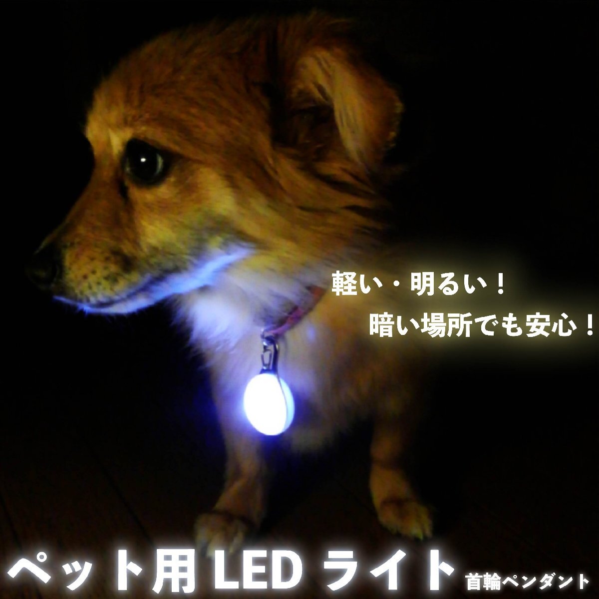 H10336【送料無料】【新品】ペット用首輪ペンダントLED お散歩ライト オレンジ ペンダント 光る 犬 猫 夜間 散歩 安全 リードネックレス