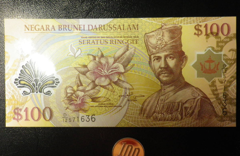 ブルネイダルサラーム 高額面 ポリマー 100Ringgit/Dollars 未使用 (めったに流通しない高額面）