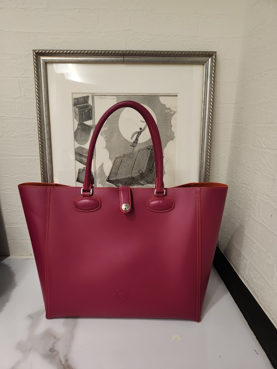 LOEWEバッグ　新品同様(8983-5)