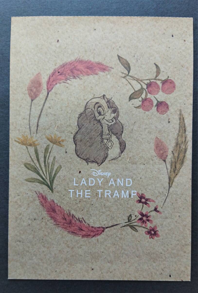 ☆ディズニーファン　ポストカード☆　Ｎо．１０２　（わんわん物語レディー）
