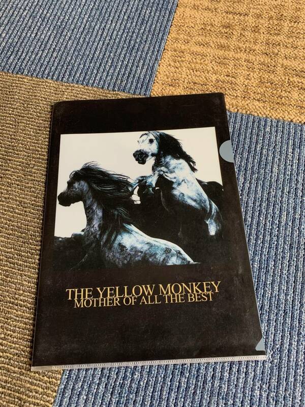 THE YELLOW MONKEY クリアファイル　中古
