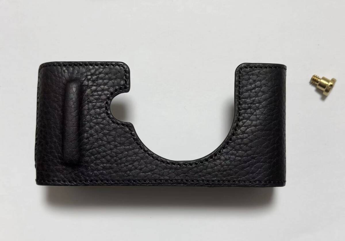 カメラケース EPSON エプソン RD1 RD1S RD1X 用