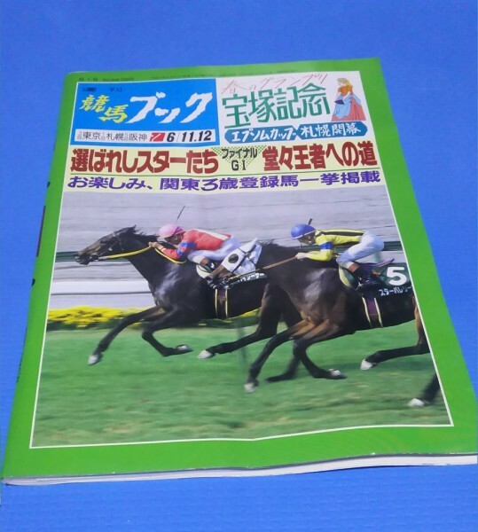 『競馬ブック　1994年6月6日号』　第35回宝塚記念　ビワハヤヒデ　ベガ　ネーハイシーザー　ヒシアマゾン