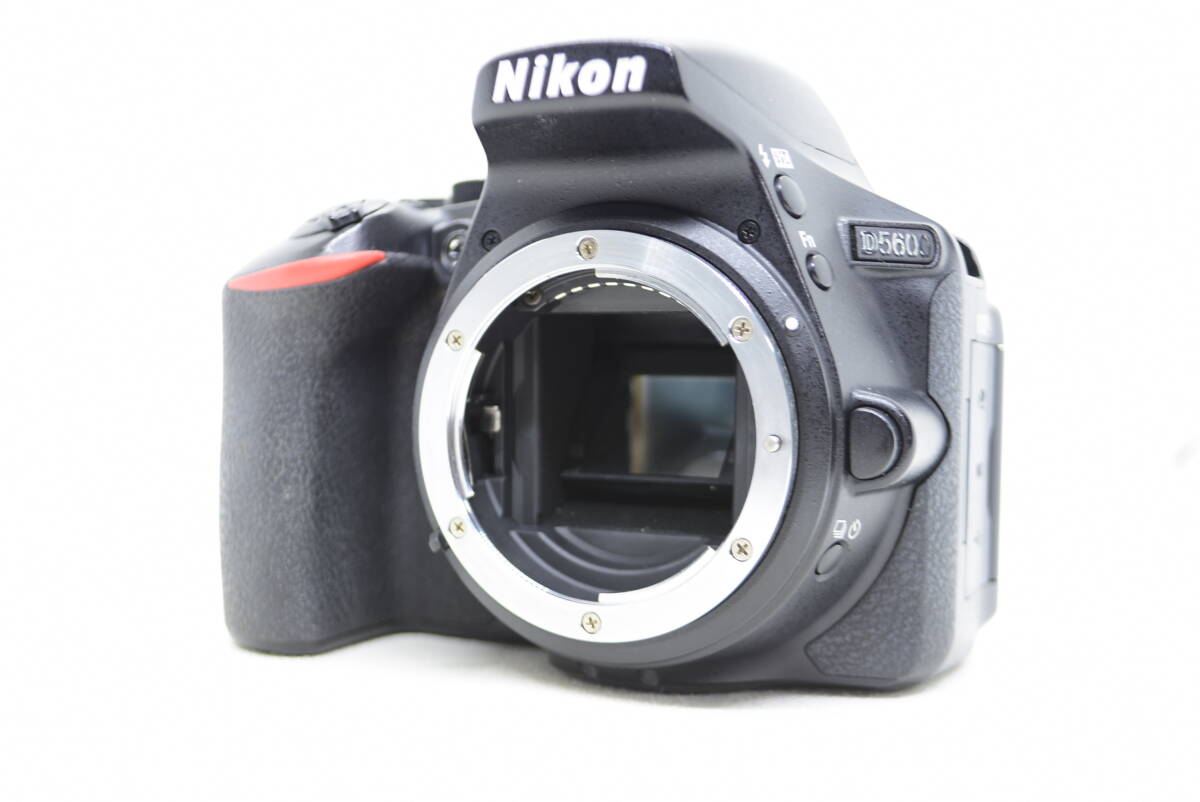 ★緊急特価品★Nikon ニコン D5600 ボディ #3649