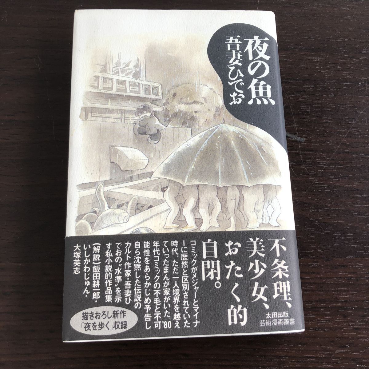 夜の魚　吾妻ひでお　太田出版　芸術漫画叢書