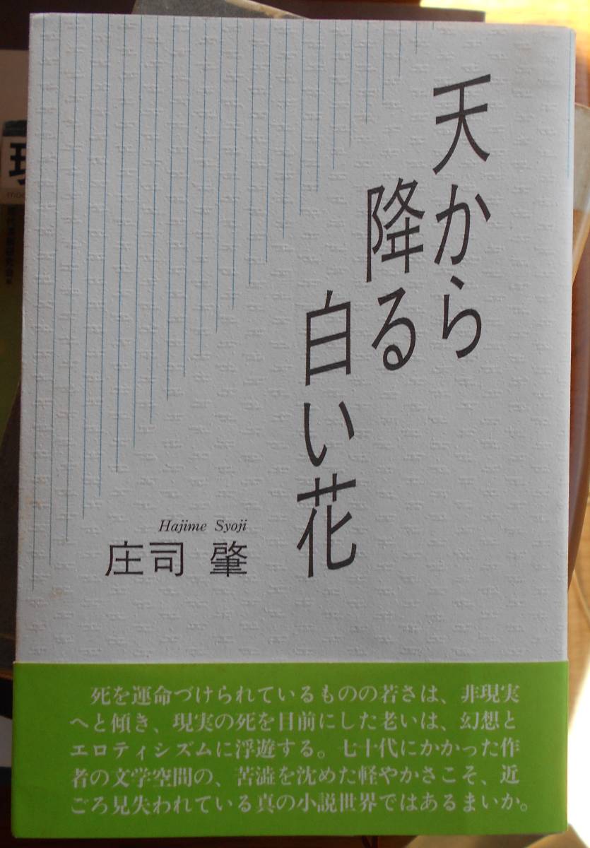 天から降る白い花　　庄司肇a