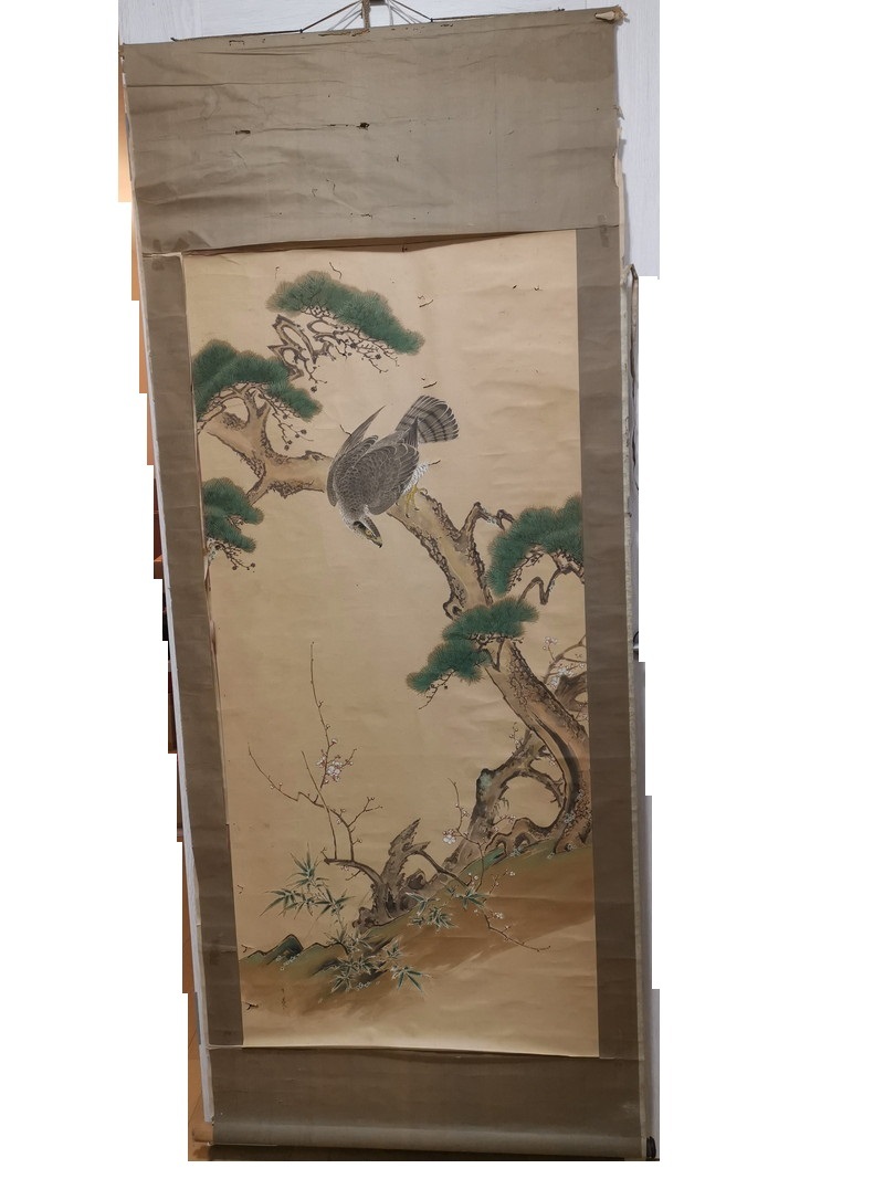 【真作】加藤真菅(～1889) 鷹松竹梅図 肉筆紙本掛軸 大幅力作 幕末明治期尾張・名古屋で活動した画家 傷等有