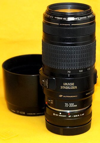 ★一発即決★画像1,3のマウントアダプターは別売に★フード＆おまけ付★訳あり★キヤノン純正「EF 70-300mm F4-5.6 IS USM」リコール対象外