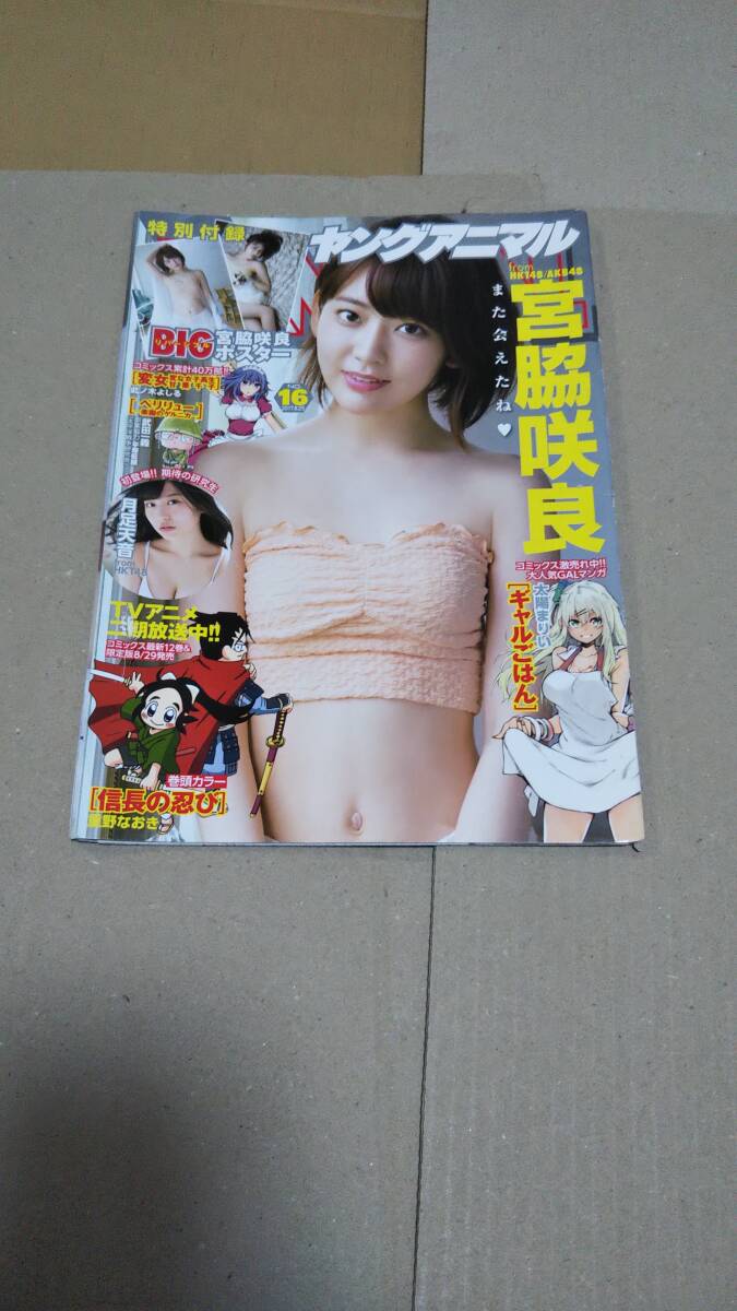 宮脇咲良 月足天音 白泉社 ヤングアニマル 2017 16 切り抜き