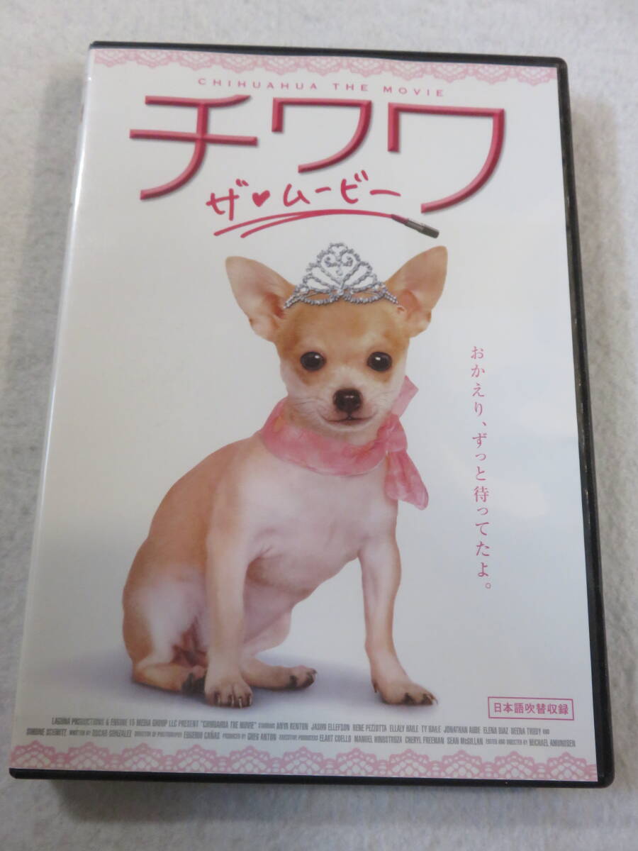 洋画DVD『チワワ　ザ・ムービー』レンタル版。キュートでハートフルなドッグ・コメディ!! 日本語吹替付き。同梱可能。即決。